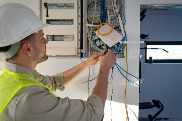 Best Electric Panel Repair  in Cedar Lake, IN